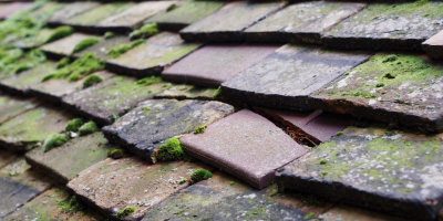 Salt roof repair costs
